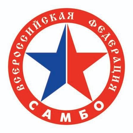 Логотип организации ВООО "Федерация Самбо Воронежской области"